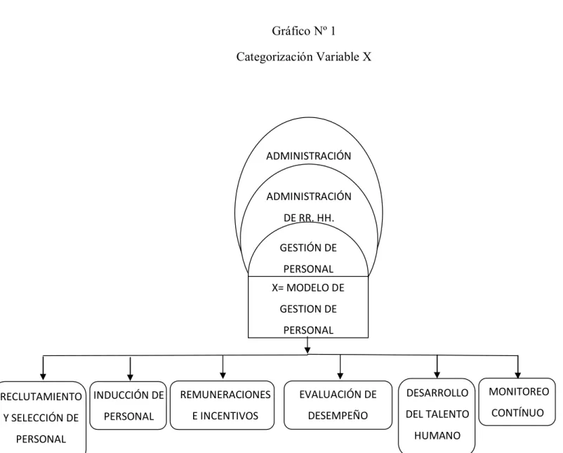 Gráfico Nº 1  Categorización Variable X 