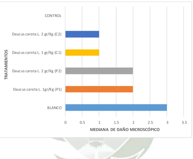 GRÁFICO Nº 2 