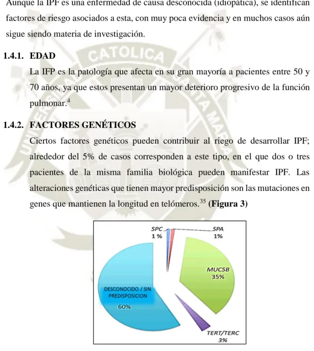 Figura 3. Frecuencias estimadas de mutaciones genéticas que                                                           predisponen a la IPF