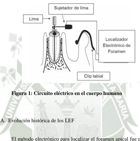 Figura 1: Circuito eléctrico en el cuerpo humano 