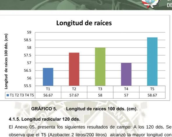CUADRO 9.  Análisis de Varianza (ANVA) para Longitud radicular 120 dds. 