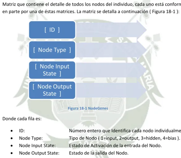 Figura 18-1 NodeGenes 