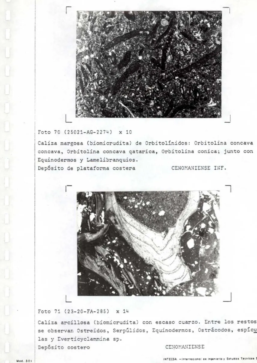 Fot. o 7 0 2 5 0 2 1 -AG- 2 2 7_` x C