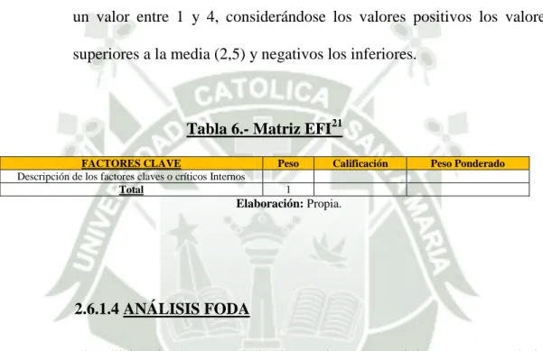 Tabla 6.- Matriz EFI 21