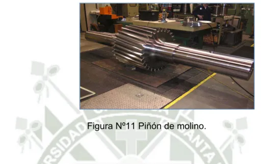Figura Nº11 Piñón de molino. 
