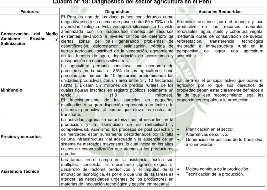 Cuadro N° 18: Diagnóstico del sector agricultura en el Perú 