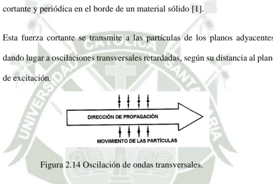 Figura 2.14 Oscilación de ondas transversales. 