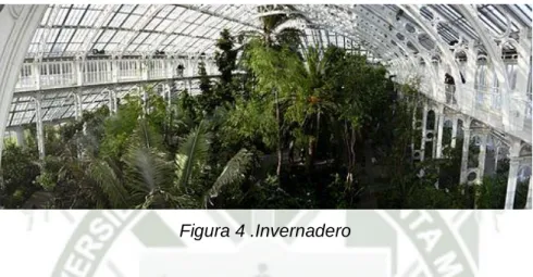 Figura 4 .Invernadero 