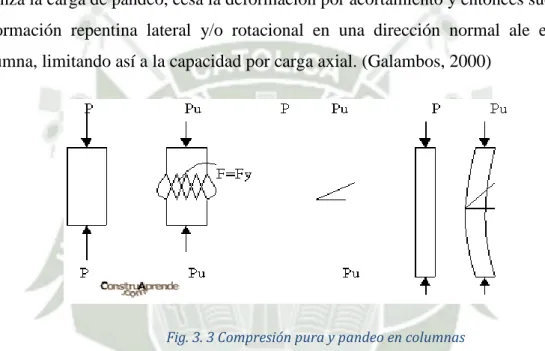 Fig. 3. 3 Compresión pura y pandeo en columnas
