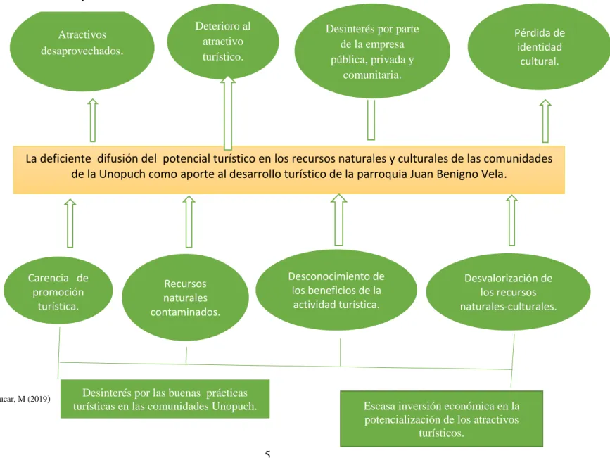 Cuadro  2 Arbol de problemas