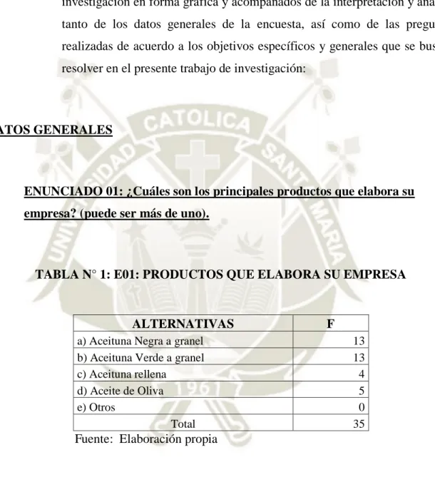 TABLA N° 1: E01: PRODUCTOS QUE ELABORA SU EMPRESA 