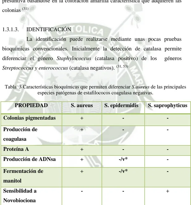 Tabla  3 Características bioquímicas que permiten diferenciar S.aureus de las principales  especies patógenas de estafilococos coagulasa negativas
