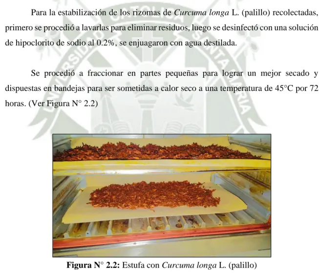 Figura N° 2.2: Estufa con Curcuma longa L. (palillo)  Fuente: Elaboración propia 