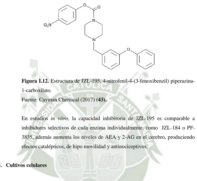Figura I.12. Estructura de JZL-195. 4-nitrofenil-4-(3-fenoxibenzil) piperazina- piperazina-1-carboxilato