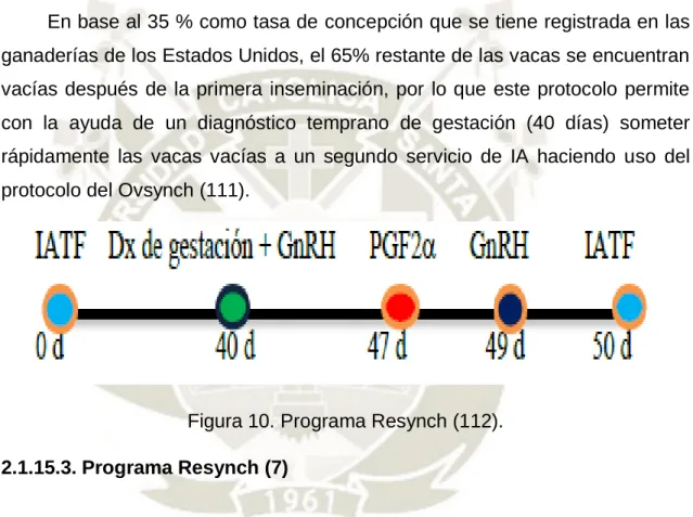 Figura 10. Programa Resynch (112). 