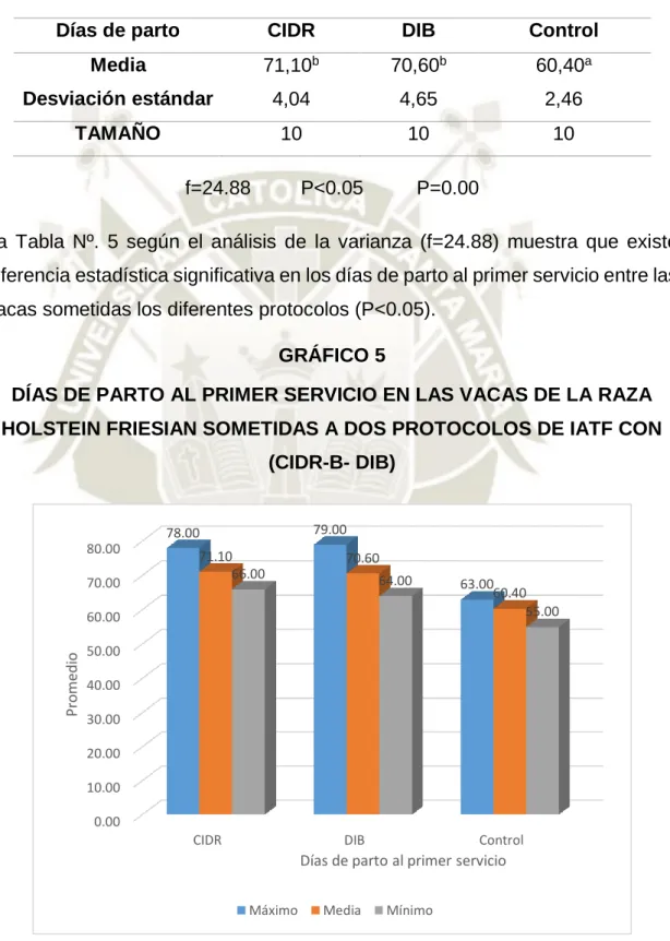 GRÁFICO 5