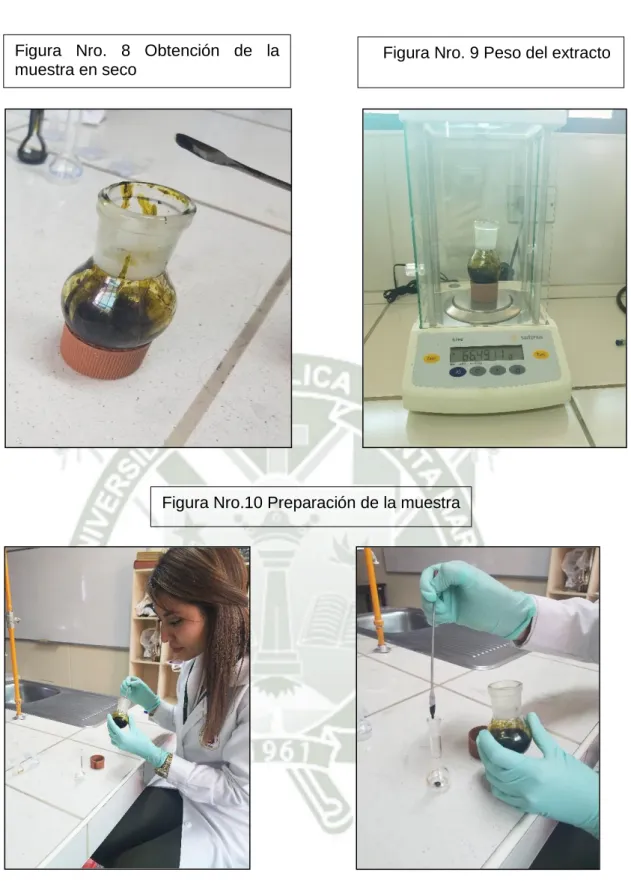 Figura Nro.10 Preparación de la muestra 