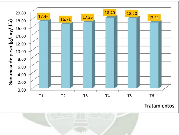 Gráfico Nº 3 