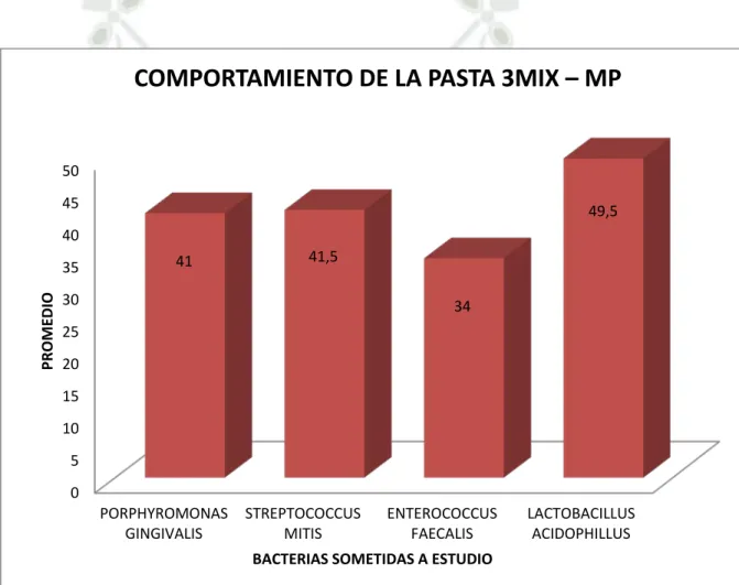 GRÁFICO Nº5 