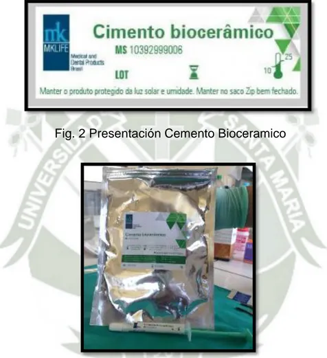 Fig. 2 Presentación Cemento Bioceramico 