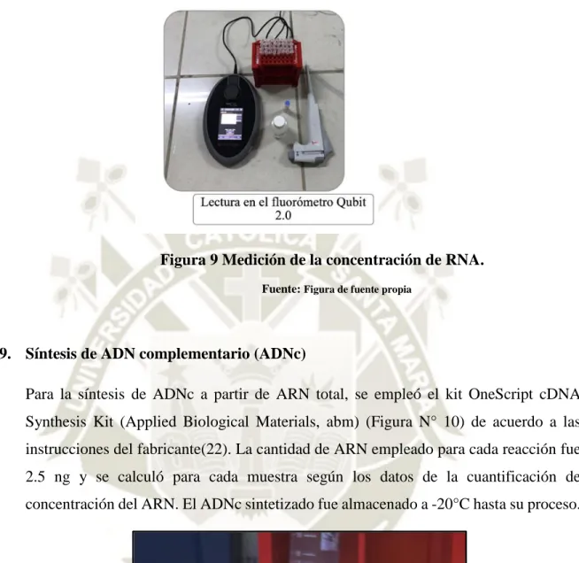 Figura 10 Kit para la sintesis de ADNc,  OneScript cDNA Synthesis Kit  (Applied Biological Materials, abm)