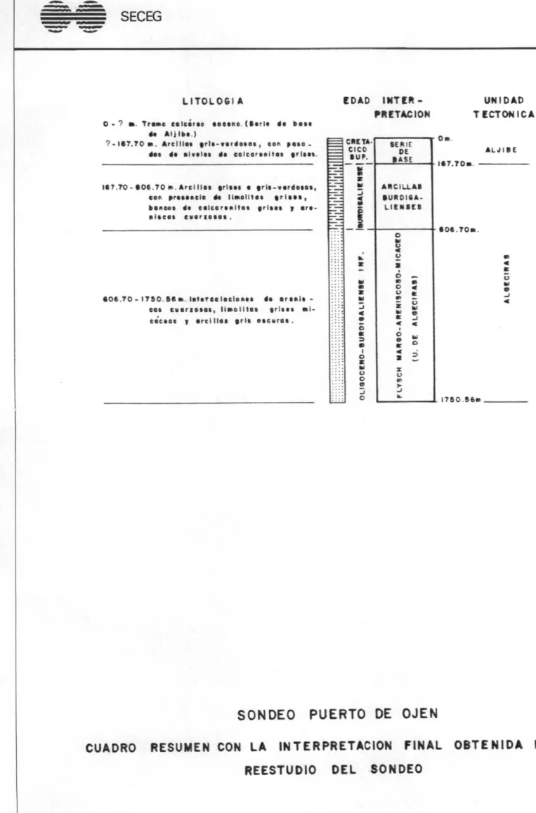 CUADRO RESUMEN CON LA INTERPRETACION FINAL OBTENIDA DEL