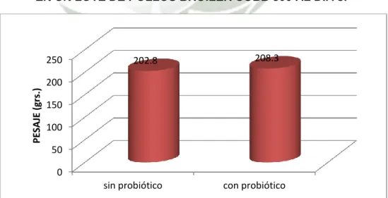 Gráfico N° 2 