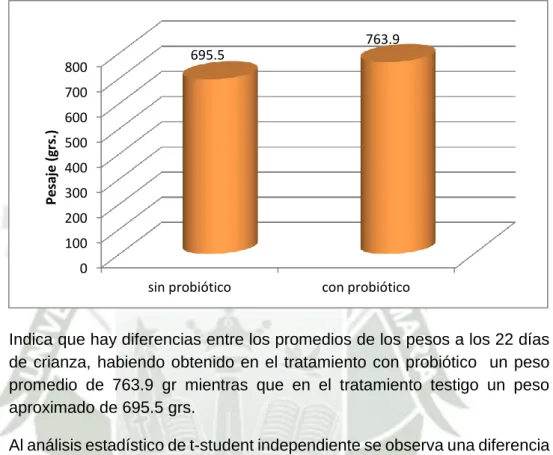 Gráfico N° 4 