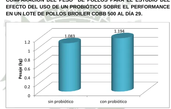 Gráfico N° 5 