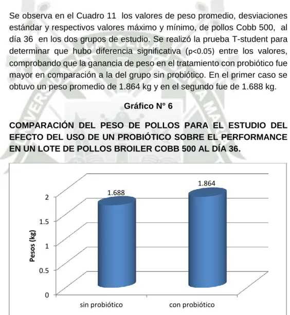 Gráfico N° 6 