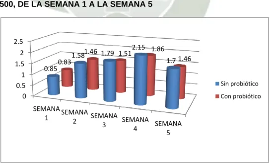 Gráfico N°9 