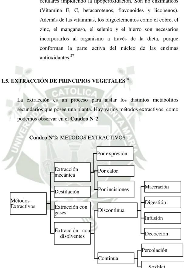 Cuadro Nº2: MÉTODOS EXTRACTIVOS 