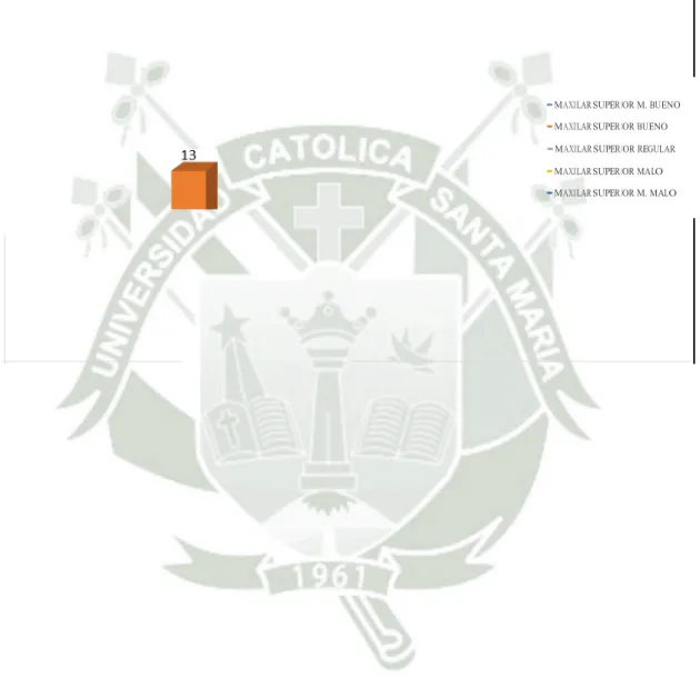 GRÁFICO   N°  9 