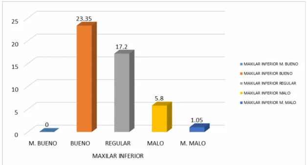 GRÁFICO N° 10 