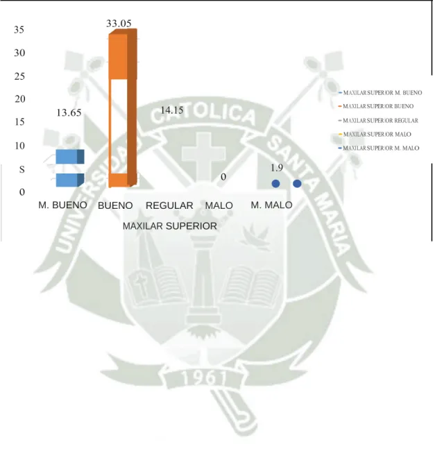 GRÁFICO N°11 