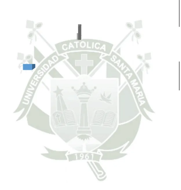 GRÁFICO N°12 