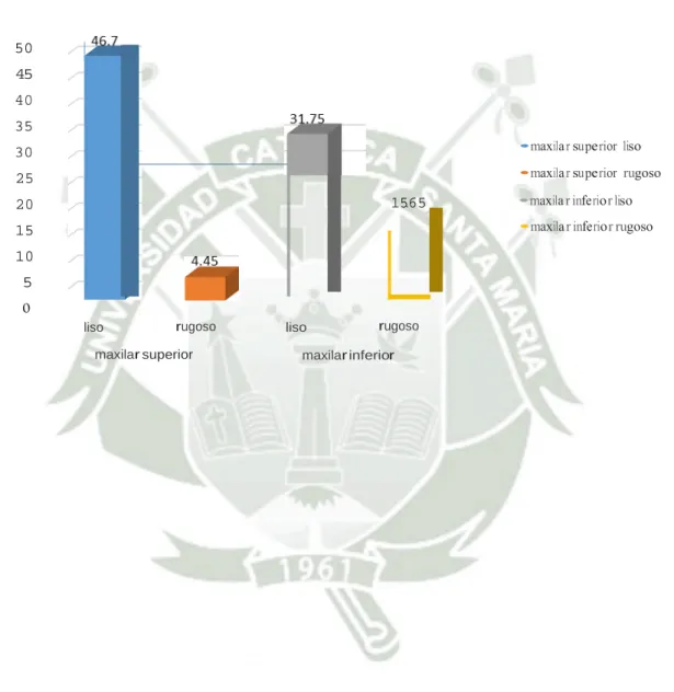 GRÁFICO   N°  13 