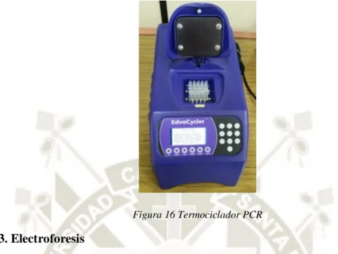 Figura 17 Cámara de electroforesis 