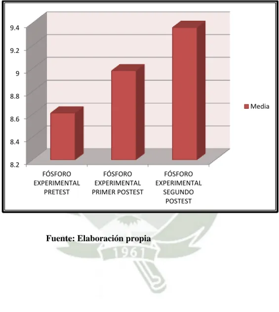 GRÁFICO   6 