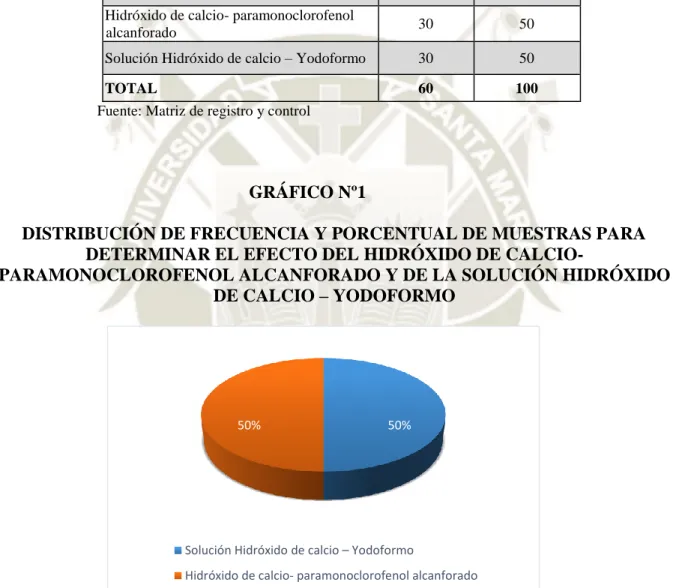 GRÁFICO Nº1 