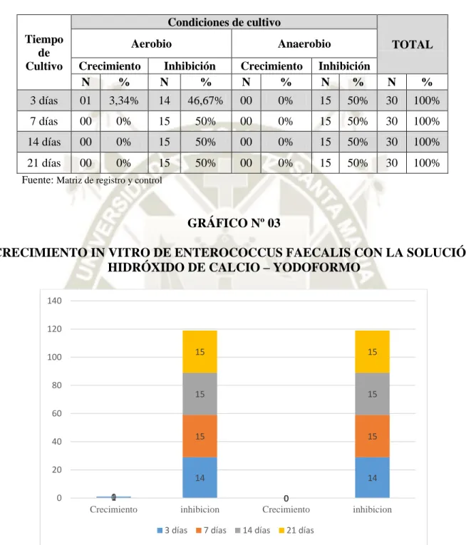 GRÁFICO Nº 03 