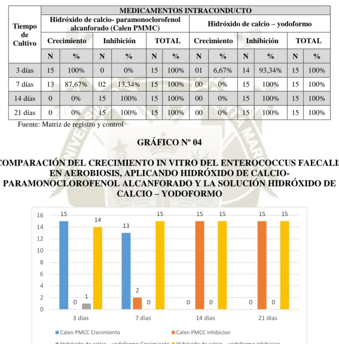 GRÁFICO Nº 04 