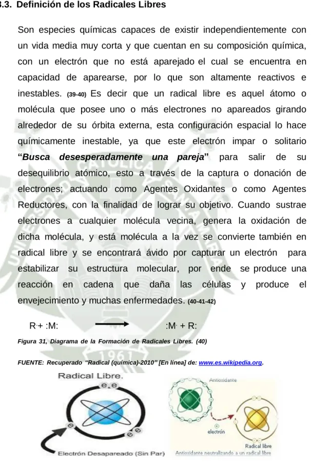 Figura  31,  Diagrama  de  la  Formación  de  Radicales  Libres.  (40) 