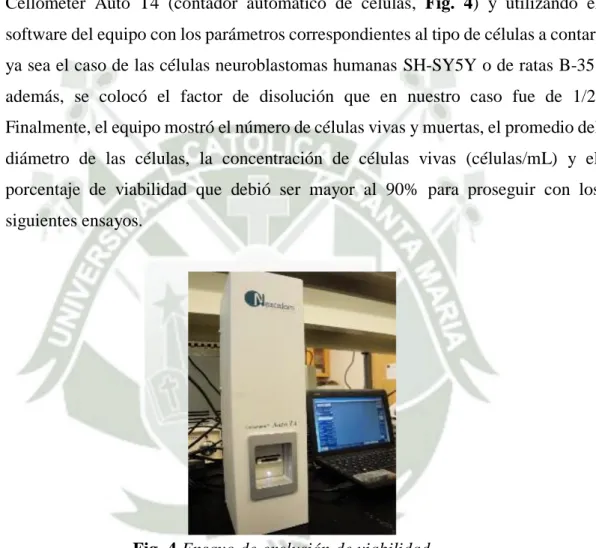 Fig. 4 Ensayo de exclusión de viabilidad  celular, utilizando el Cellometer Auto T4. 