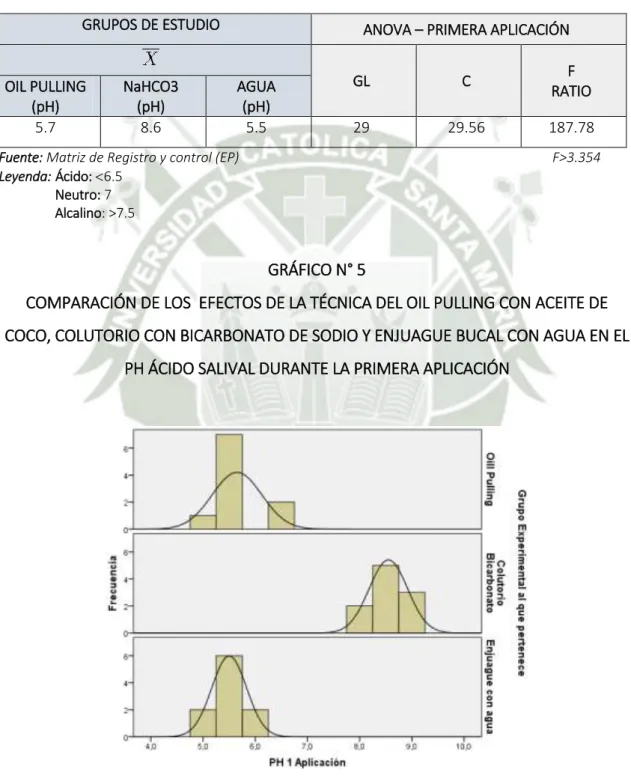 GRÁFICO N° 5  