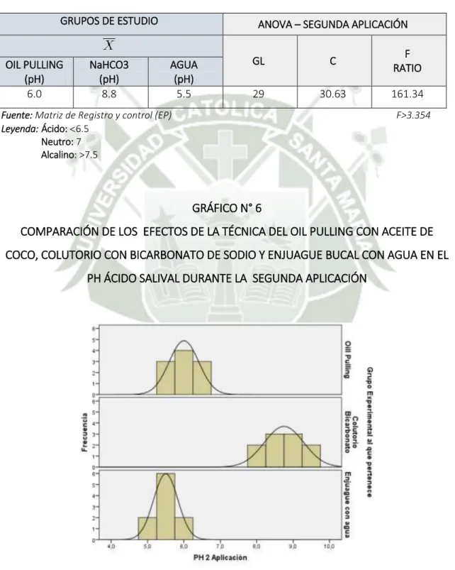 GRÁFICO N° 6  