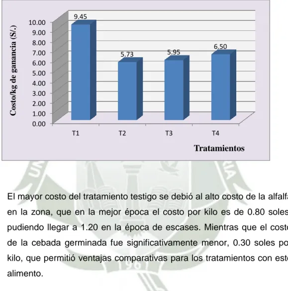 GRÁFICO Nº 6 