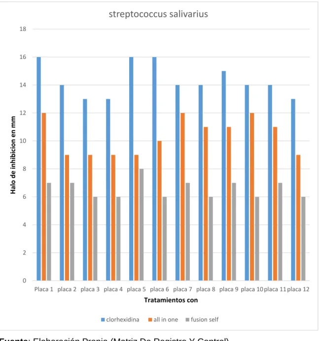 GRÁFICO Nº 2 