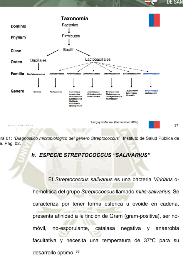 Figura 01: “Diagnóstico microbiológico del género Streptococcus”. Instituto de Salud Pública de  Chile