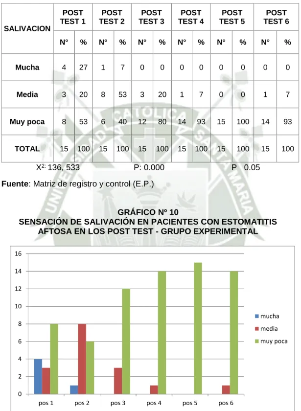 GRÁFICO Nº 10